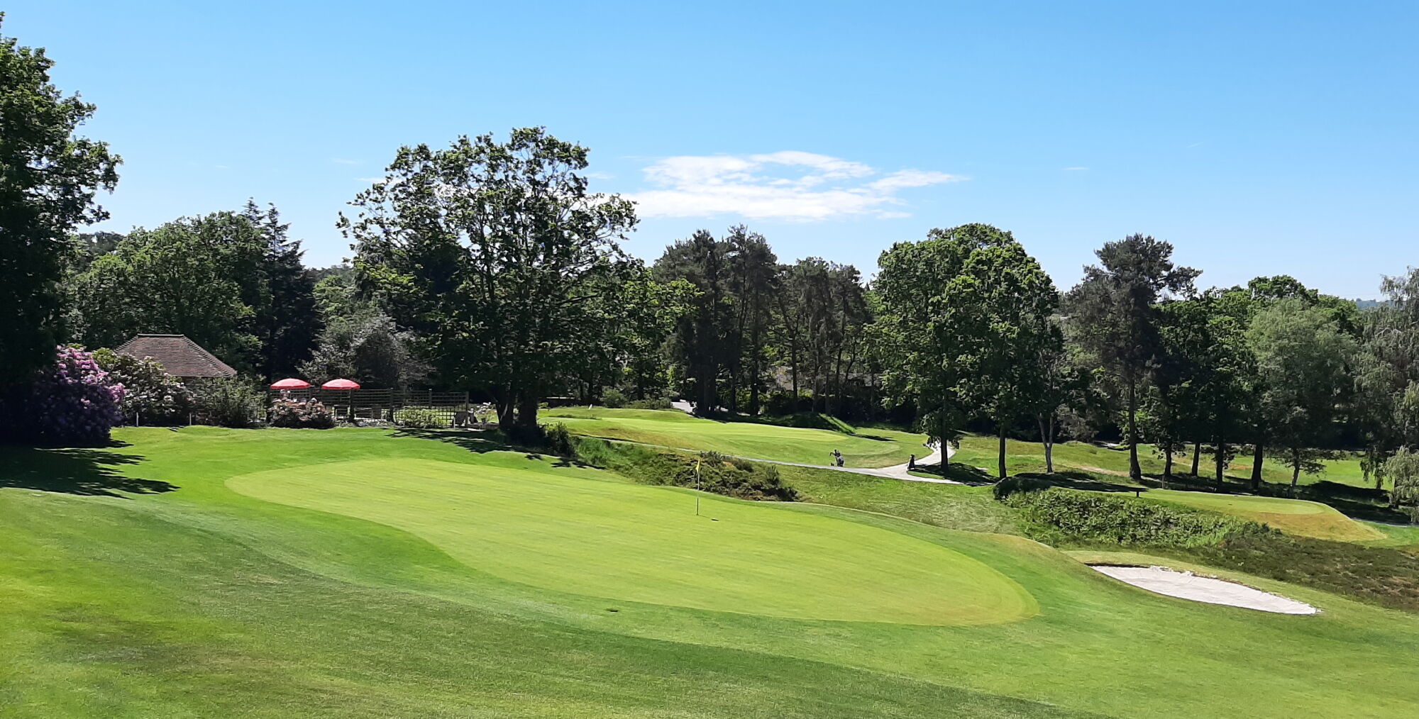 Home Blackmoor Golf Club Professional Golf Course in Hampshire